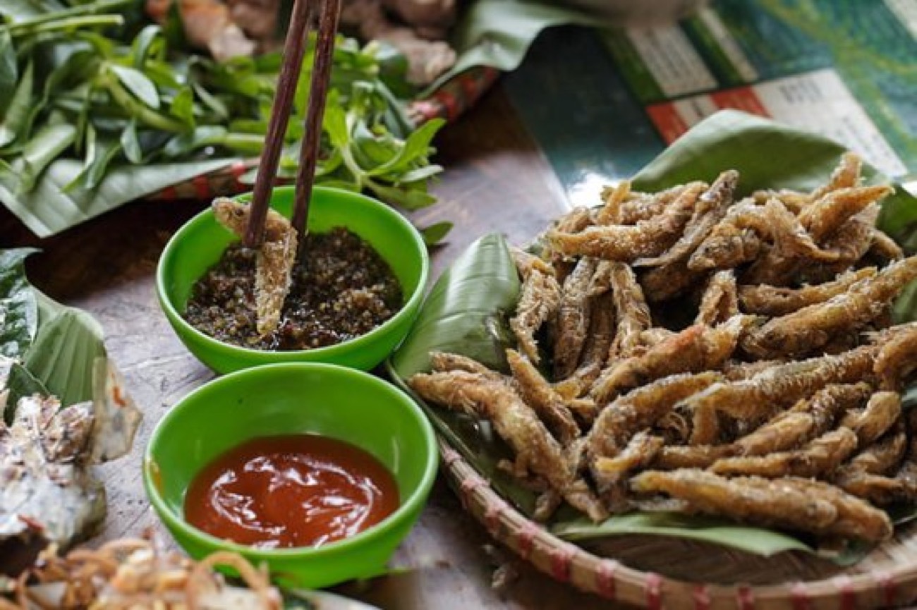 Cá suối & chẩm chéo